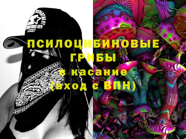 гидра Алексин