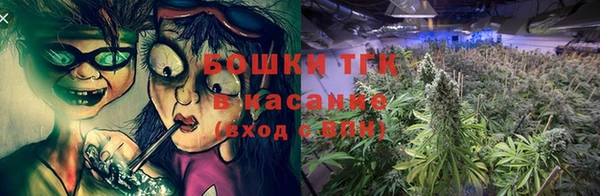 гидра Алексин