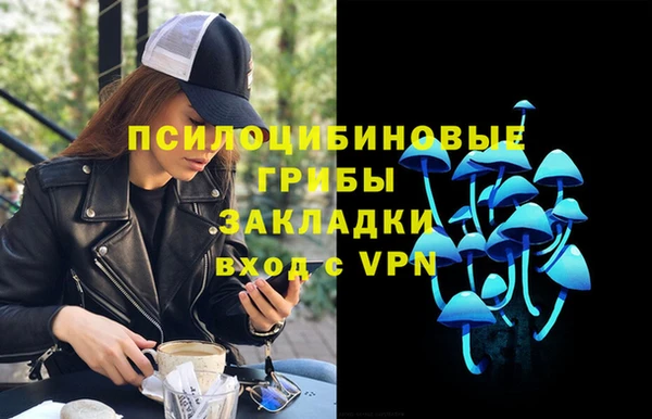 гидра Алексин