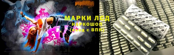 гидра Алексин
